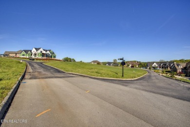 Build your DREAM HOME on this spacious cleared lot perfect for a on Rarity Bay Country Club - Loudon in Tennessee - for sale on GolfHomes.com, golf home, golf lot