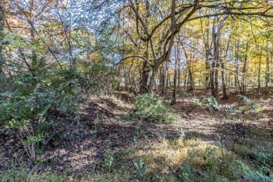 Welcome to a rare opportunity to own a stunning 0.32-acre lot on Lake Tansi Village Country Club in Tennessee - for sale on GolfHomes.com, golf home, golf lot