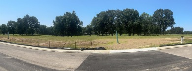 Beautiful new gated community on the famous picturesque Colonial on Colonial Country Club in Tennessee - for sale on GolfHomes.com, golf home, golf lot