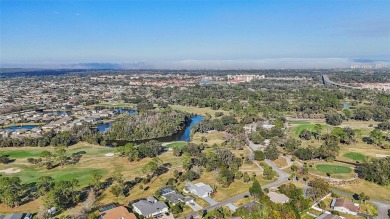 One or more photo(s) has been virtually staged. Nestled in a on Palm Harbor Golf Club in Florida - for sale on GolfHomes.com, golf home, golf lot