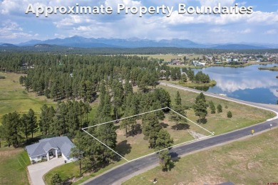 Mike Heraty, The Source For Pagosa Real Estate, C: , Mike,  : on Pagosa Springs Golf Club in Colorado - for sale on GolfHomes.com, golf home, golf lot