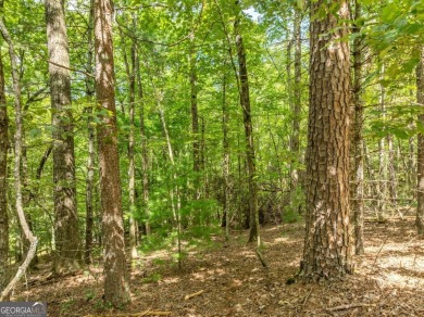 Tucked away on 0.97 acres in the desirable Buckhorn Estates on White Path Golf Club in Georgia - for sale on GolfHomes.com, golf home, golf lot