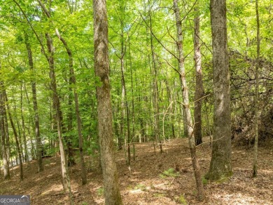 Tucked away on 0.97 acres in the desirable Buckhorn Estates on White Path Golf Club in Georgia - for sale on GolfHomes.com, golf home, golf lot