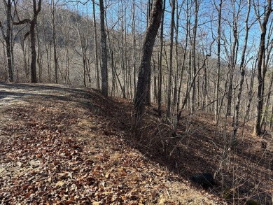 This luxury lot in Bear Lake Reserve features a gentle slope for on Bear Lake Golf Club in North Carolina - for sale on GolfHomes.com, golf home, golf lot