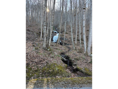 This luxury lot in Bear Lake Reserve features a gentle slope for on Bear Lake Golf Club in North Carolina - for sale on GolfHomes.com, golf home, golf lot
