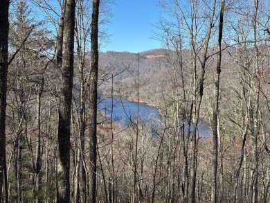 This luxury lot in Bear Lake Reserve features a gentle slope for on Bear Lake Golf Club in North Carolina - for sale on GolfHomes.com, golf home, golf lot