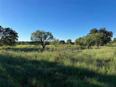 This interior lot 591 on Breezy Street in the Kings Point Cove on Hideout Golf Club and Resort  in Texas - for sale on GolfHomes.com, golf home, golf lot