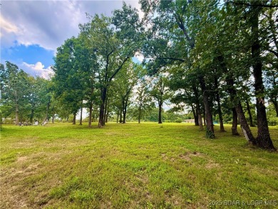 Discover the perfect blend of space, comfort, and privacy in on Oak Hills Country Club in Missouri - for sale on GolfHomes.com, golf home, golf lot