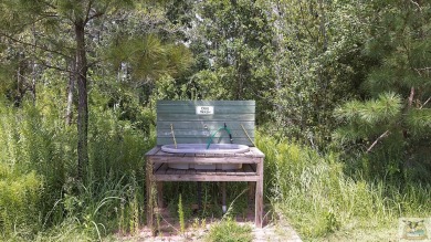 Discover Your Slice of Paradise at Lake Osprey Luxury RV Resort! on Soldiers Creek Golf Club At Woerner Preserve in Alabama - for sale on GolfHomes.com, golf home, golf lot