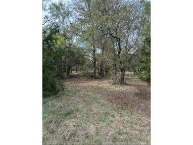 Either retired or just an outdoor person come take a look at on White Bluff Resort - New Course in Texas - for sale on GolfHomes.com, golf home, golf lot