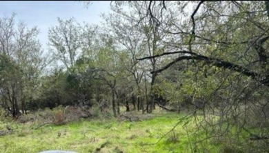 Either retired or just an outdoor person come take a look at on White Bluff Resort - New Course in Texas - for sale on GolfHomes.com, golf home, golf lot