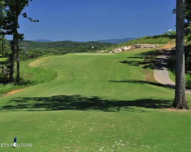 New Construction featuring The Wentworth floor plan in The on The Preserve 9 Hole Golf Course in Tennessee - for sale on GolfHomes.com, golf home, golf lot