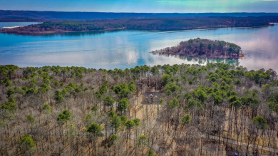 Newer Lakefront Home in Tannenbaum on Tannenbaum Golf Club in Arkansas - for sale on GolfHomes.com, golf home, golf lot