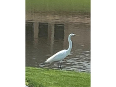 Garden Home Lot at The Trails at Tascosa Golf Club. Gated on Tascosa Country Club in Texas - for sale on GolfHomes.com, golf home, golf lot