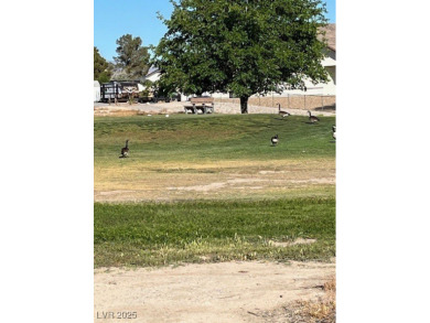 Rare opportunity to own one of the few remaining lots available on Lakeview Executive Golf Course in Nevada - for sale on GolfHomes.com, golf home, golf lot