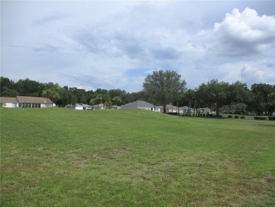 GREAT OPPORTUNITY TO OWN A 2 BED, 2 BATH, 2 CAR GARAGE VILLA ON on Preserve Golf Club in Florida - for sale on GolfHomes.com, golf home, golf lot