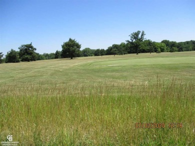 Across from Belle River Golf Course, wooded, ready to build on Belle River Golf & Country Club in Michigan - for sale on GolfHomes.com, golf home, golf lot