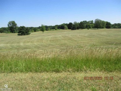 Across from Belle River Golf Course, wooded, ready to build on Belle River Golf & Country Club in Michigan - for sale on GolfHomes.com, golf home, golf lot