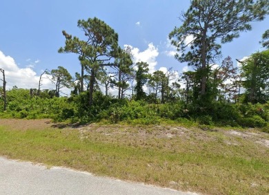 City water and city sewer are available, making this a great on Rotonda Golf and Country Club The Links Course in Florida - for sale on GolfHomes.com, golf home, golf lot