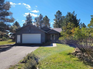 Connie Goodnight, Land Properties, LLC, C: , connie,  : This on Pagosa Springs Golf Club in Colorado - for sale on GolfHomes.com, golf home, golf lot