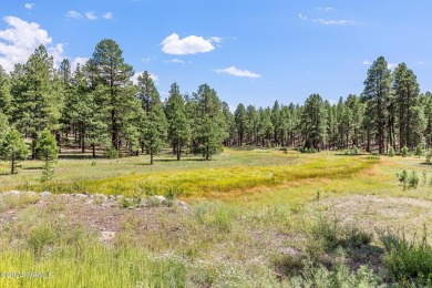 This is an exceptionally rare opportunity to own a true family on Forest Highlands Golf Club - The Canyon in Arizona - for sale on GolfHomes.com, golf home, golf lot