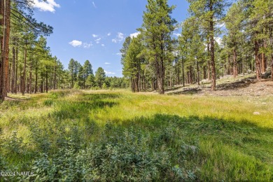 This is an exceptionally rare opportunity to own a true family on Forest Highlands Golf Club - The Canyon in Arizona - for sale on GolfHomes.com, golf home, golf lot