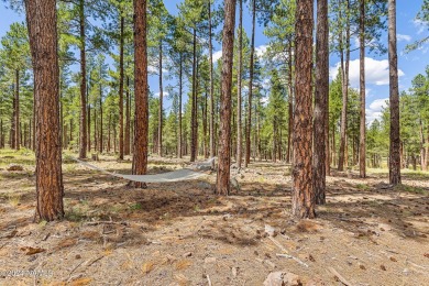 This is an exceptionally rare opportunity to own a true family on Forest Highlands Golf Club - The Canyon in Arizona - for sale on GolfHomes.com, golf home, golf lot