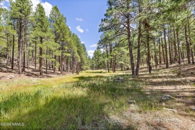 This is an exceptionally rare opportunity to own a true family on Forest Highlands Golf Club - The Canyon in Arizona - for sale on GolfHomes.com, golf home, golf lot