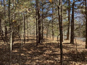 Great lot ready for your home on the Mountain Ranch Golf Course! on Mountain Ranch Golf Club in Arkansas - for sale on GolfHomes.com, golf home, golf lot