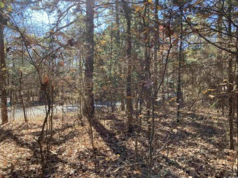 Great lot ready for your home on the Mountain Ranch Golf Course! on Mountain Ranch Golf Club in Arkansas - for sale on GolfHomes.com, golf home, golf lot