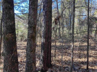 Great lot ready for your home on the Mountain Ranch Golf Course! on Mountain Ranch Golf Club in Arkansas - for sale on GolfHomes.com, golf home, golf lot