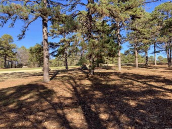 Great lot ready for your home on the Mountain Ranch Golf Course! on Mountain Ranch Golf Club in Arkansas - for sale on GolfHomes.com, golf home, golf lot