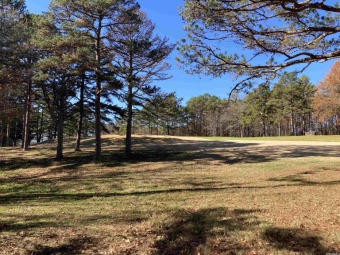 Great lot ready for your home on the Mountain Ranch Golf Course! on Mountain Ranch Golf Club in Arkansas - for sale on GolfHomes.com, golf home, golf lot