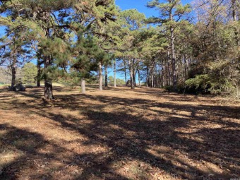 Great lot ready for your home on the Mountain Ranch Golf Course! on Mountain Ranch Golf Club in Arkansas - for sale on GolfHomes.com, golf home, golf lot