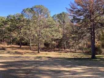 Great lot ready for your home on the Mountain Ranch Golf Course! on Mountain Ranch Golf Club in Arkansas - for sale on GolfHomes.com, golf home, golf lot