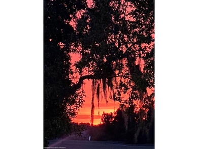 MOTIVATED SELLER'S WORK TRANSFER: 
Welcome to the Country Club on Country Club of Sebring in Florida - for sale on GolfHomes.com, golf home, golf lot