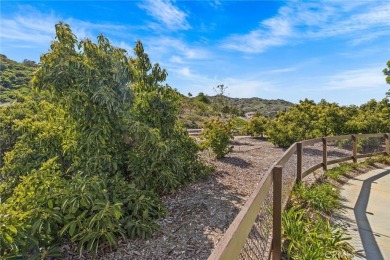 Opportunity: Exceptional Tenaja Model in Trilogy at Glen Ivy's on Glen Ivy Golf Club in California - for sale on GolfHomes.com, golf home, golf lot