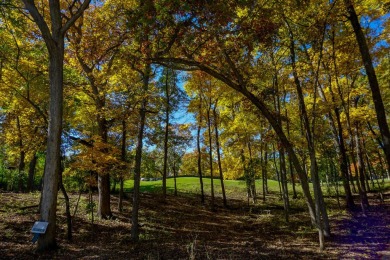 Welcome home! This beautiful wooden lot offers stunning views! on Geneva National Golf Club in Wisconsin - for sale on GolfHomes.com, golf home, golf lot