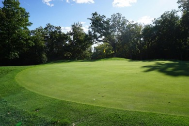 Welcome home! This beautiful wooden lot offers stunning views! on Geneva National Golf Club in Wisconsin - for sale on GolfHomes.com, golf home, golf lot