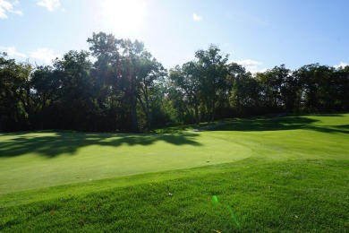 Welcome home! This beautiful wooden lot offers stunning views! on Geneva National Golf Club in Wisconsin - for sale on GolfHomes.com, golf home, golf lot