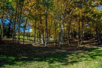 Welcome home! This beautiful wooden lot offers stunning views! on Geneva National Golf Club in Wisconsin - for sale on GolfHomes.com, golf home, golf lot