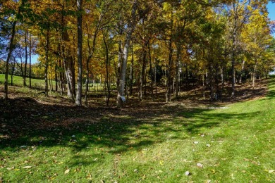 Welcome home! This beautiful wooden lot offers stunning views! on Geneva National Golf Club in Wisconsin - for sale on GolfHomes.com, golf home, golf lot