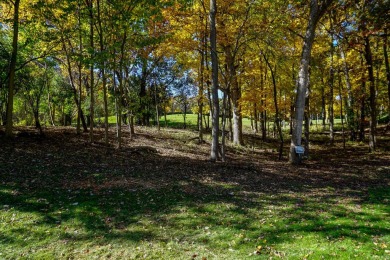 Welcome home! This beautiful wooden lot offers stunning views! on Geneva National Golf Club in Wisconsin - for sale on GolfHomes.com, golf home, golf lot