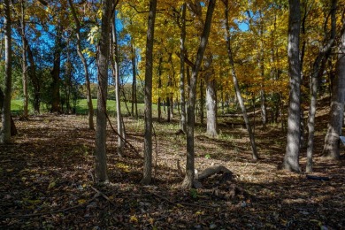 Welcome home! This beautiful wooden lot offers stunning views! on Geneva National Golf Club in Wisconsin - for sale on GolfHomes.com, golf home, golf lot