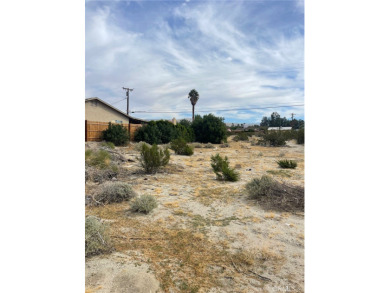 Looking for a flat, useable lot to build your DREAM HOME?!?!? on Sands RV and Golf Resort in California - for sale on GolfHomes.com, golf home, golf lot