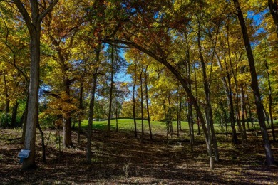 You deserve a lot like this! Imagine coming home every day to on Geneva National Golf Club in Wisconsin - for sale on GolfHomes.com, golf home, golf lot