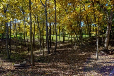 You deserve a lot like this! Imagine coming home every day to on Geneva National Golf Club in Wisconsin - for sale on GolfHomes.com, golf home, golf lot