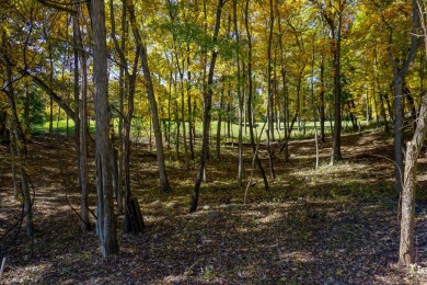 You deserve a lot like this! Imagine coming home every day to on Geneva National Golf Club in Wisconsin - for sale on GolfHomes.com, golf home, golf lot