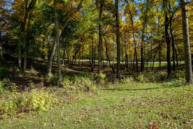 You deserve a lot like this! Imagine coming home every day to on Geneva National Golf Club in Wisconsin - for sale on GolfHomes.com, golf home, golf lot