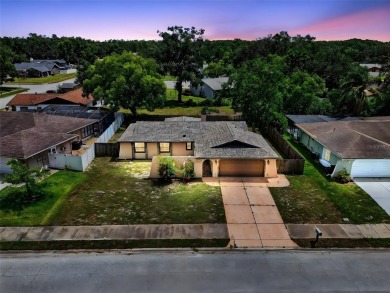 This beautifully maintained home has had all the big-ticket on Meadow Oaks Golf and Country Club in Florida - for sale on GolfHomes.com, golf home, golf lot